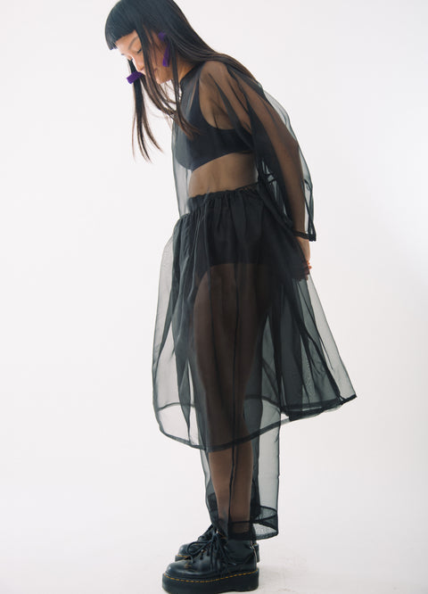 Silk Organza Sana